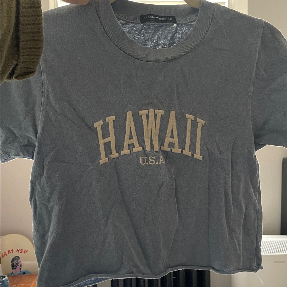 Brandy Melville Light Gray Top